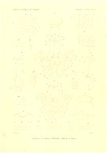 n766_w1150