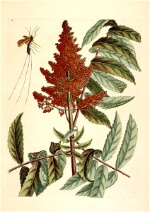 n219_w1150