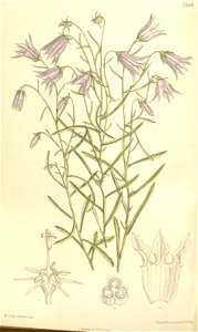 n121_w1150