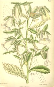 n105_w1150