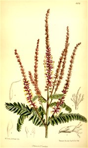 n57_w1150