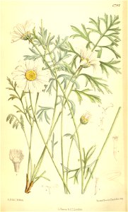 n158_w1150