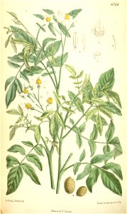 n113_w1150
