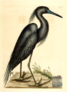 n163_w1150