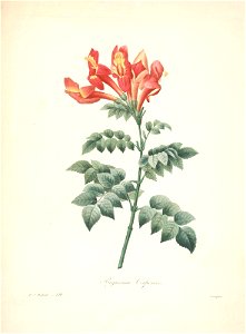 n163_w1150
