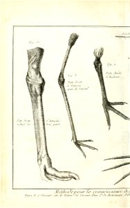 n495_w1150