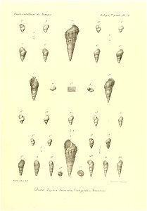 n818_w1150