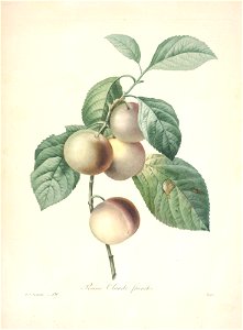 n159_w1150