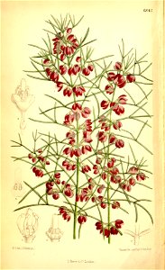 n159_w1150