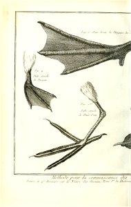 n499_w1150