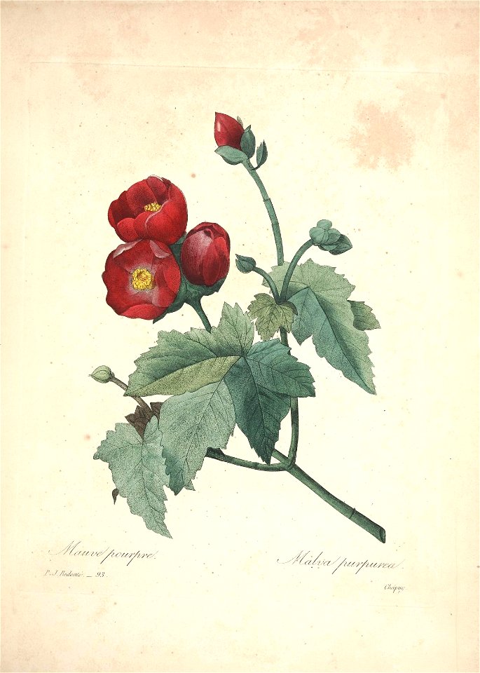 n117_w1150