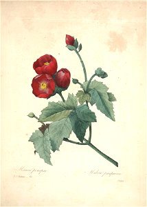 n117_w1150