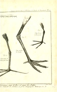 n496_w1150