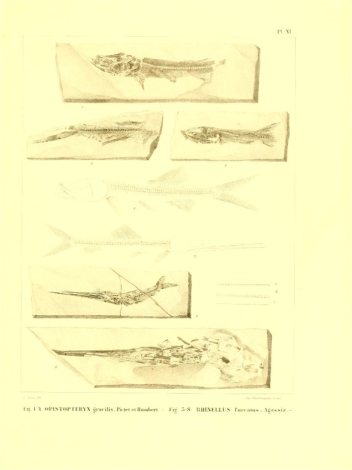 n148_w1150