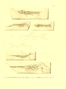 n148_w1150