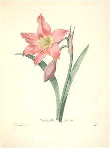 n85_w1150