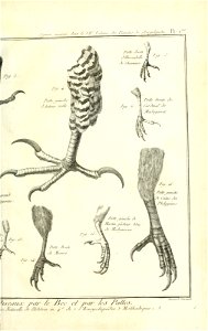 n492_w1150