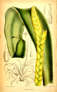 n163_w1150
