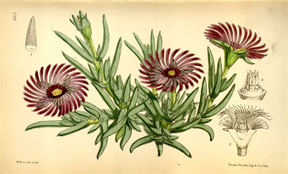 n121_w1150