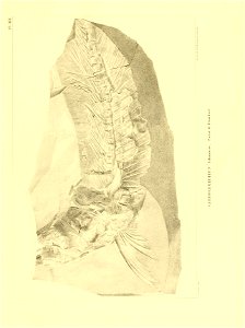 n152_w1150