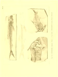 n150_w1150