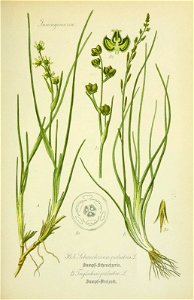 n572_w1150