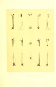 n338_w1150
