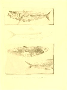 n144_w1150