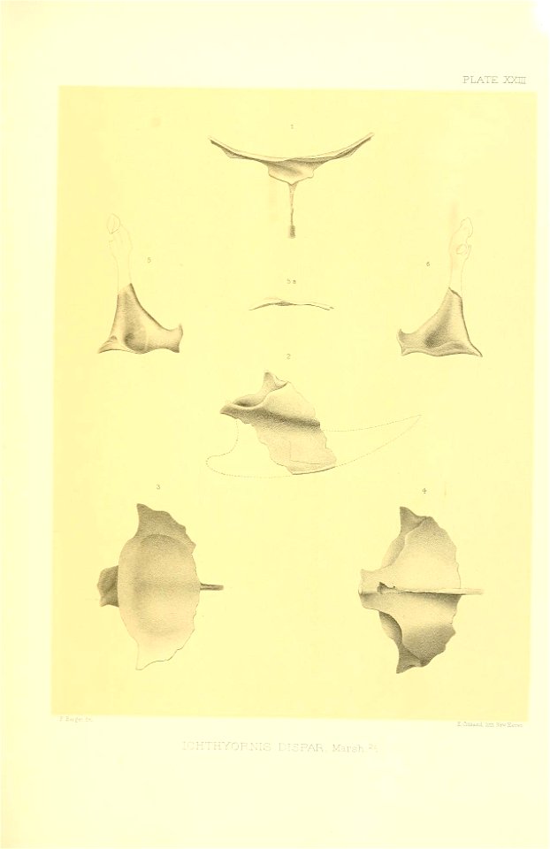 n330_w1150