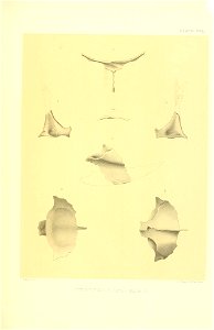 n330_w1150