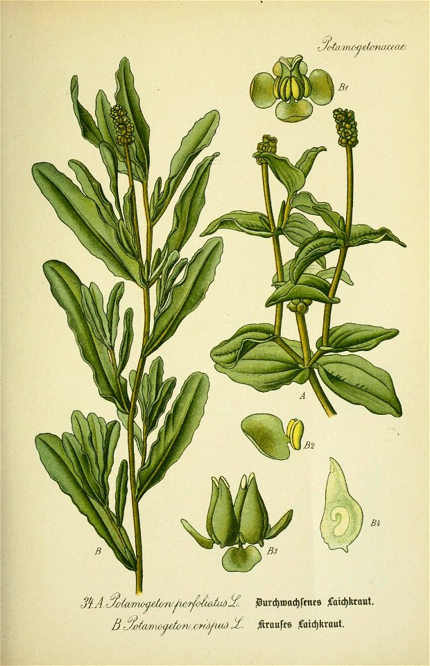 n568_w1150