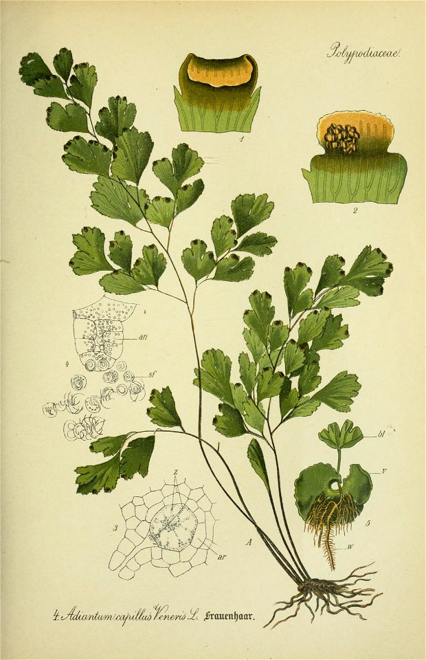 n508_w1150