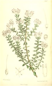 n163_w1150