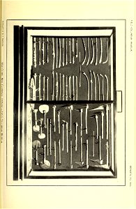 n170_w1150