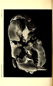 n393_w1150