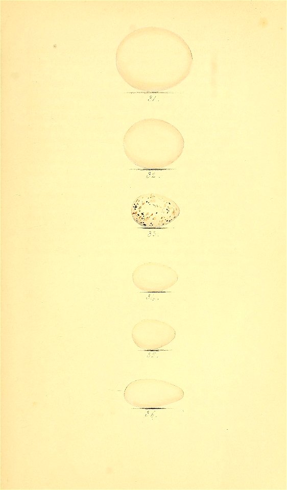n288_w1150