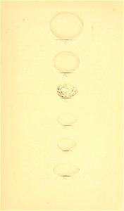 n288_w1150