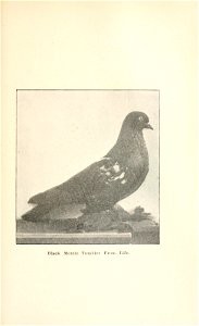 n180_w1150