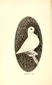 n149_w1150