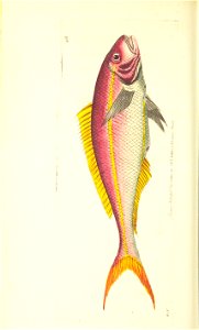 n89_w1150