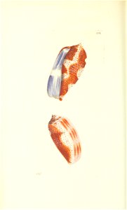 n191_w1150
