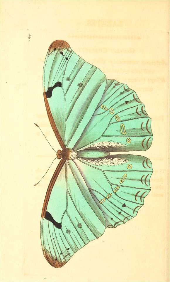n149_w1150