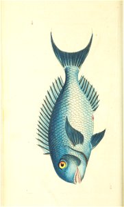 n89_w1150