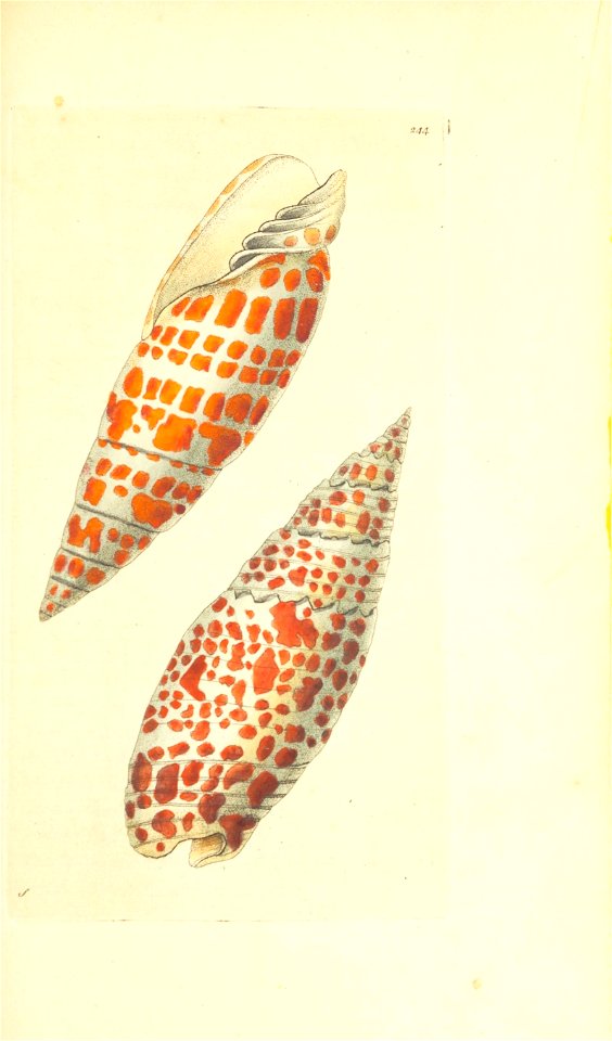 n160_w1150