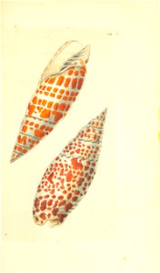 n160_w1150