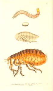 n197_w1150