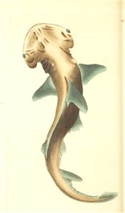 n69_w1150