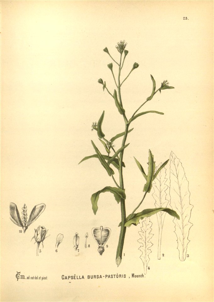 n105_w1150