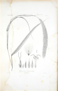 n304_w1150