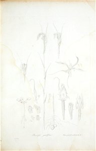 n18_w1150